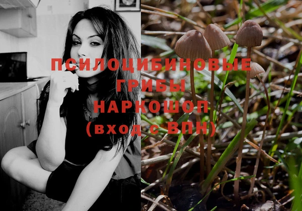 эйфоретик Армянск