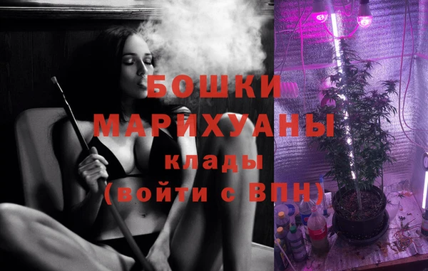 прущий лед Алзамай